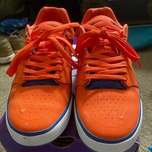 Nike sb ishod orange 10